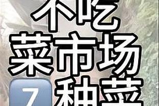 半岛综合app能下载嘛